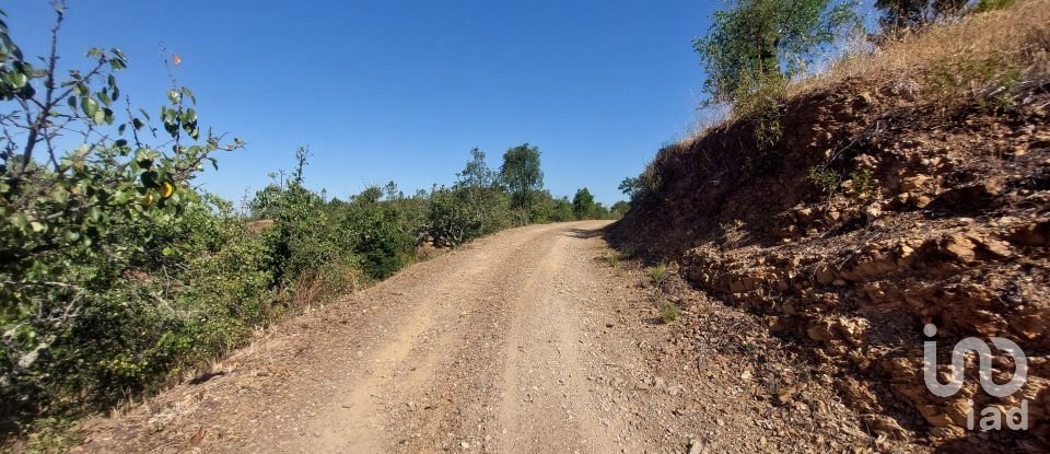 Terreno para construção em Querença, Tôr e Benafim de 3 702 m²