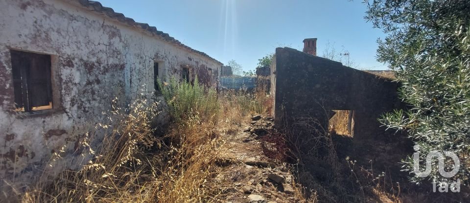 Building land in Querença, Tôr e Benafim of 3,702 m²