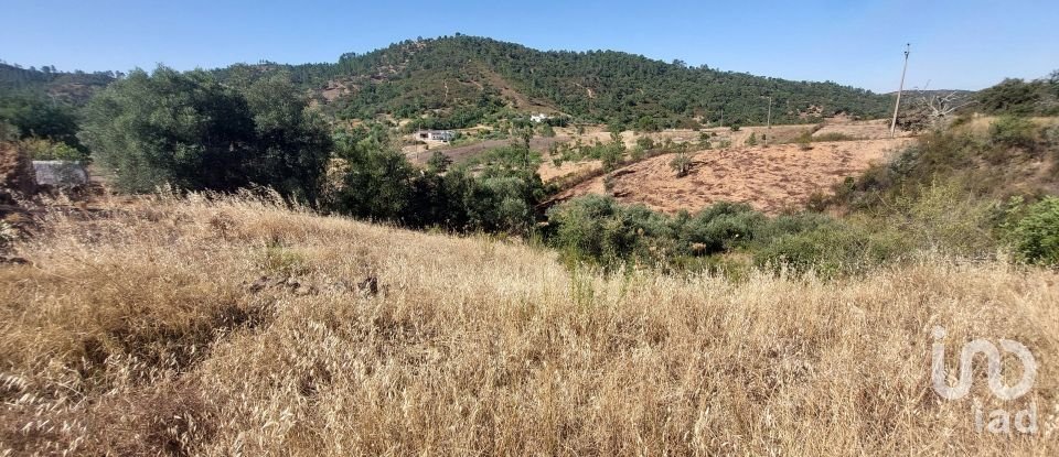 Terrain à bâtir à Querença, Tôr e Benafim de 3 702 m²