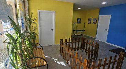 Boutique/Local commercial à Loulé (São Clemente) de 53 m²