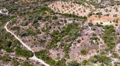 Terreno Agrícola em São Brás de Alportel de 21 405 m²