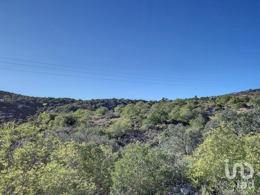 Terreno Agrícola em São Brás de Alportel de 21 405 m²