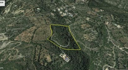 Terrain agricole à São Brás de Alportel de 21 405 m²