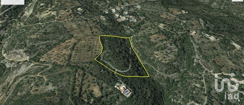 Agricultural land in São Brás de Alportel of 21,405 m²