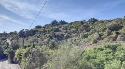 Agricultural land in São Brás de Alportel of 21,405 m²