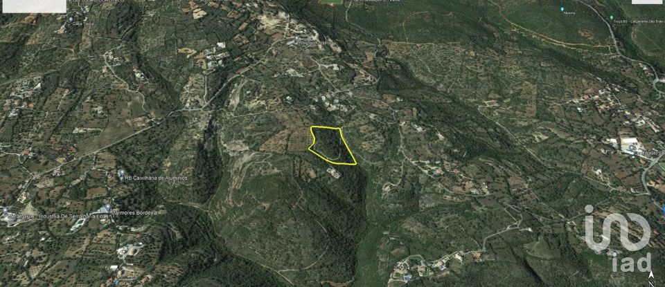 Terrain agricole à São Brás de Alportel de 21 405 m²