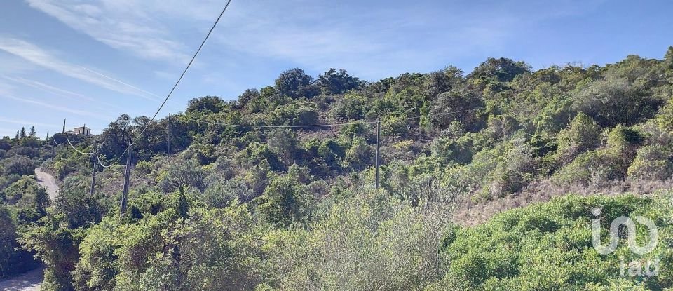 Agricultural land in São Brás de Alportel of 21,405 m²