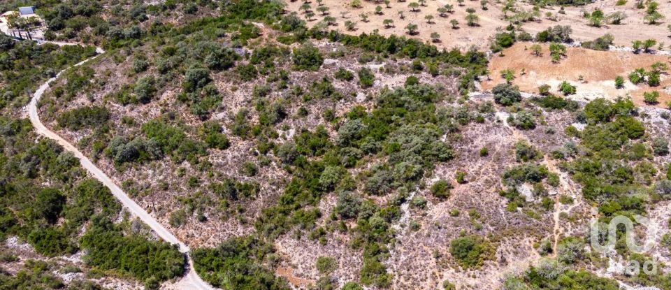 Terreno Agrícola em São Brás de Alportel de 21 405 m²