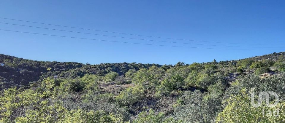 Terrain agricole à São Brás de Alportel de 21 405 m²