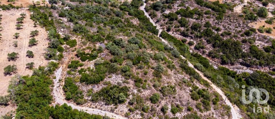 Terrain agricole à São Brás de Alportel de 21 405 m²