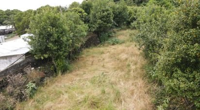 Terreno para construção em Lagoa (Nossa Senhora do Rosário) de 2 560 m²