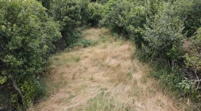 Terreno para construção em Lagoa (Nossa Senhora do Rosário) de 2 560 m²