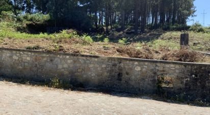 Terreno Agrícola em Reboreda e Nogueira de 1 366 m²