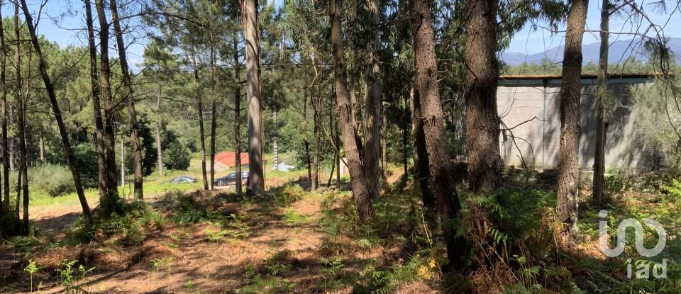 Terreno Agrícola em Reboreda e Nogueira de 1 366 m²