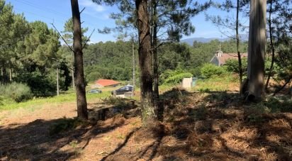 Terreno Agrícola em Reboreda e Nogueira de 1 366 m²