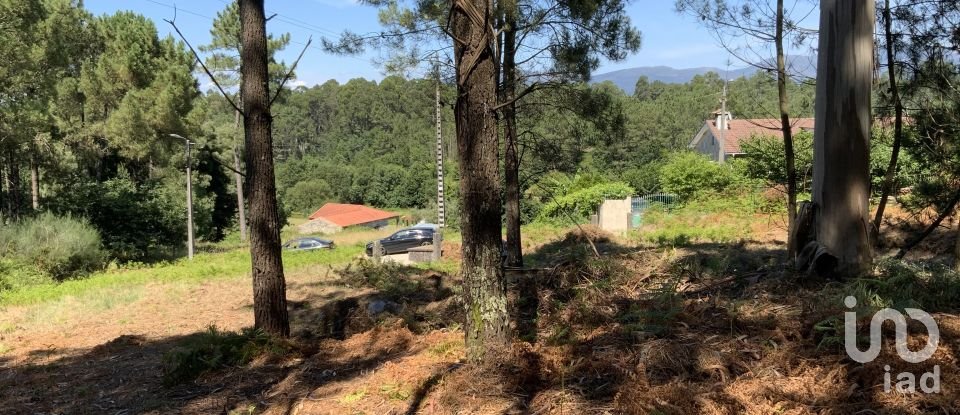 Terreno Agrícola em Reboreda e Nogueira de 1 366 m²