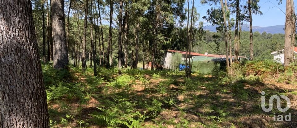 Terreno Agrícola em Reboreda e Nogueira de 1 366 m²