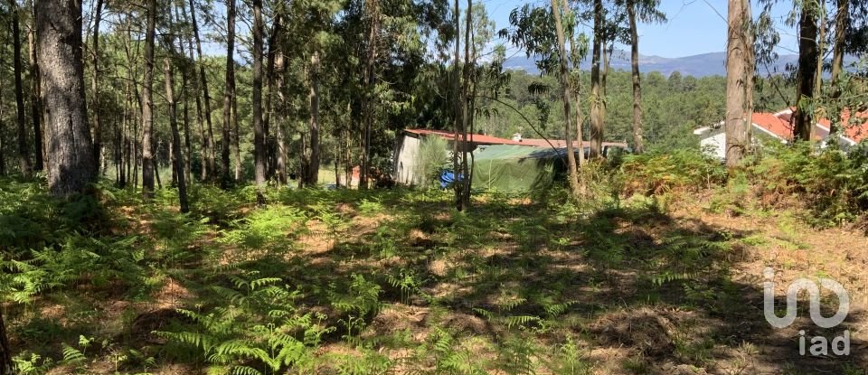 Agricultural land in Reboreda e Nogueira of 1,366 m²