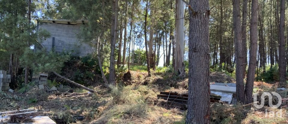 Terreno Agrícola em Reboreda e Nogueira de 1 366 m²