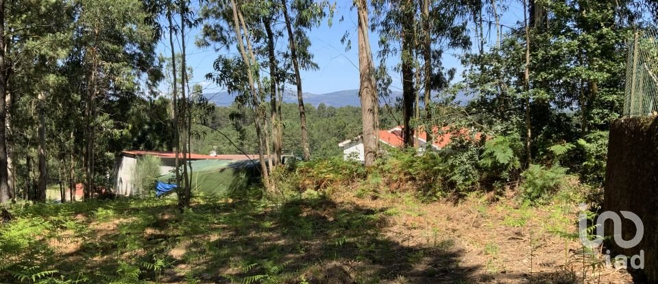 Terreno Agrícola em Reboreda e Nogueira de 1 366 m²