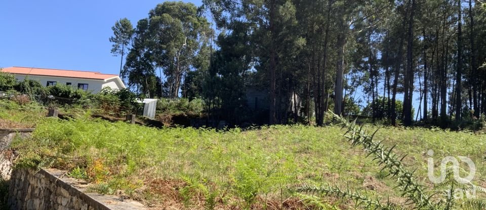 Terreno Agrícola em Reboreda e Nogueira de 1 366 m²