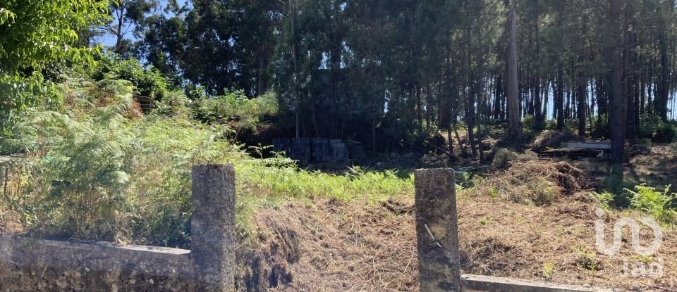 Terreno Agrícola em Reboreda e Nogueira de 1 366 m²