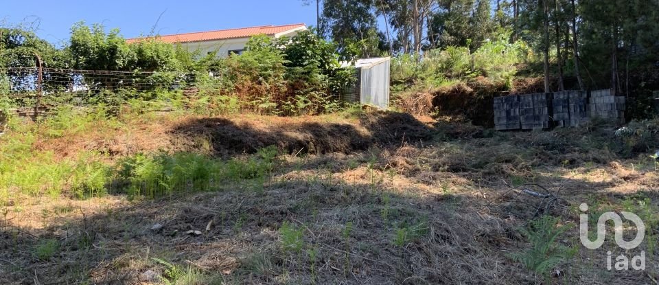 Terreno Agrícola em Reboreda e Nogueira de 1 366 m²