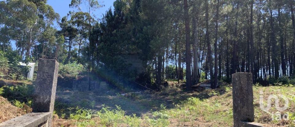 Terreno Agrícola em Reboreda e Nogueira de 1 366 m²