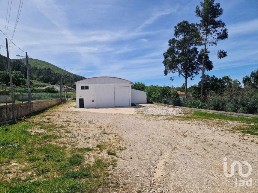 Loja / Estabelecimento Comercial em Pedreiras de 269 m²