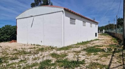 Shop / premises commercial in Pedreiras of 269 m²