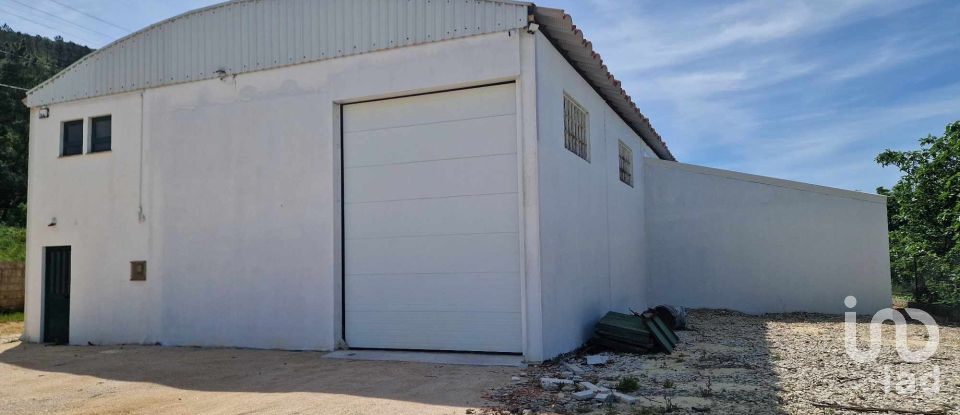 Shop / premises commercial in Pedreiras of 269 m²