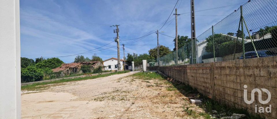 Shop / premises commercial in Pedreiras of 269 m²