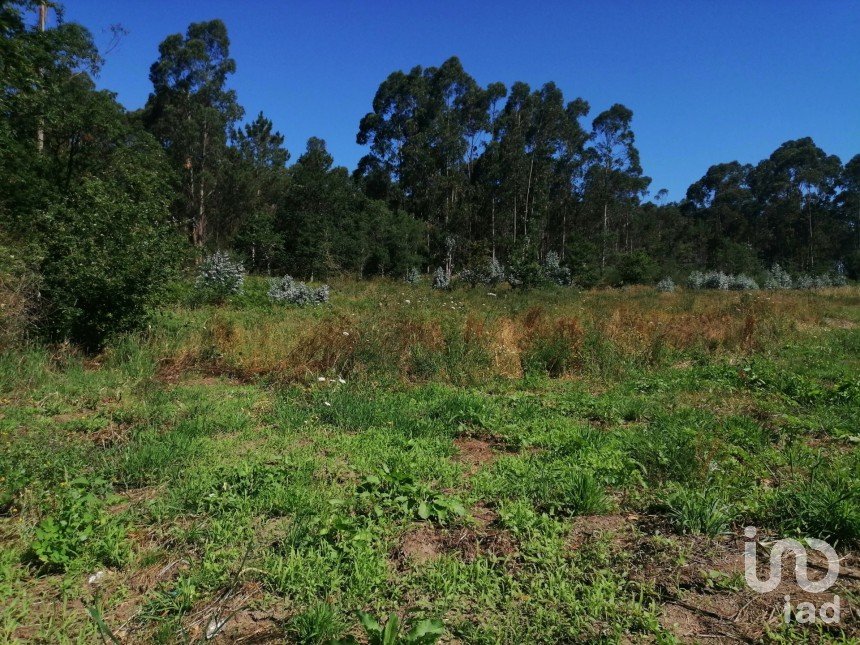 Terrain agricole à São romão de neiva de 8 800 m²