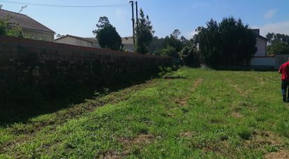 Terreno Agrícola em São romão de neiva de 8 800 m²