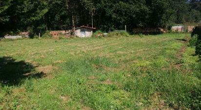 Agricultural land in São romão de neiva of 8,800 m²