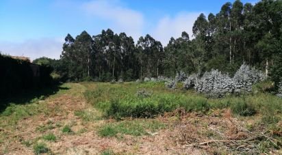 Agricultural land in São romão de neiva of 8,800 m²