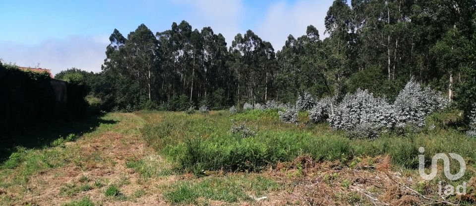 Terrain agricole à São romão de neiva de 8 800 m²