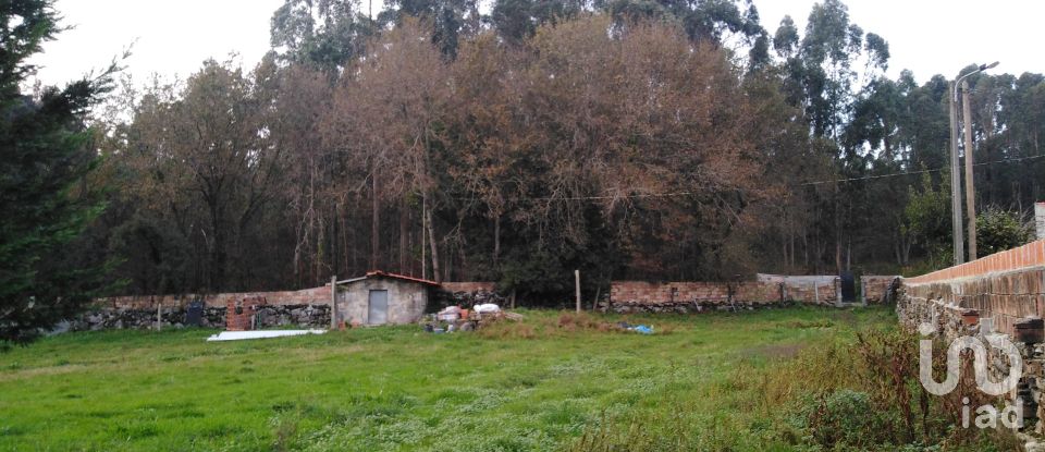 Terrain agricole à São romão de neiva de 8 800 m²