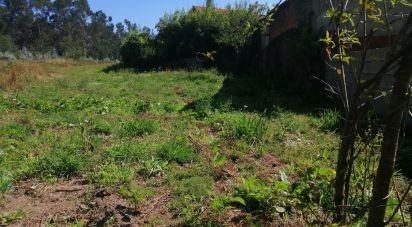 Terreno Agrícola em São romão de neiva de 8 800 m²