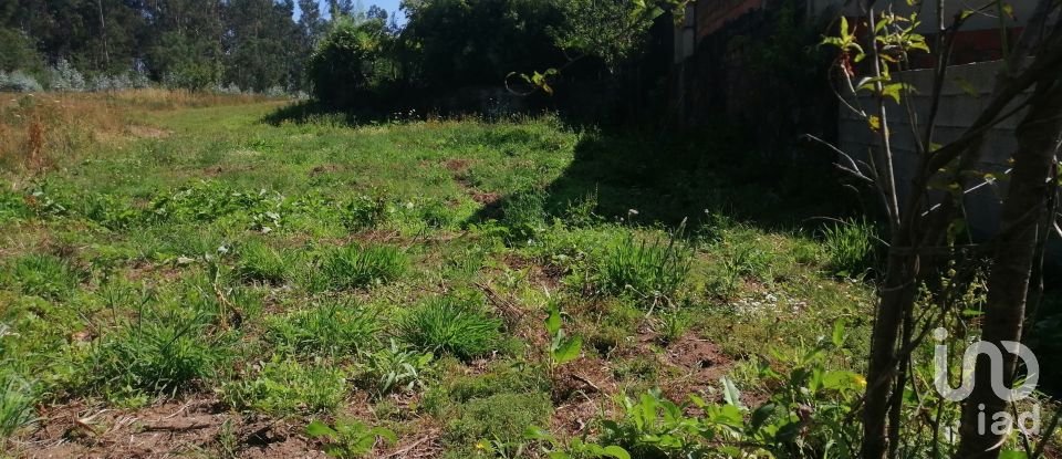 Agricultural land in São romão de neiva of 8,800 m²