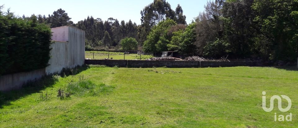 Terreno Agrícola em São romão de neiva de 8 800 m²