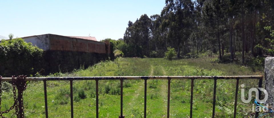 Agricultural land in São romão de neiva of 8,800 m²