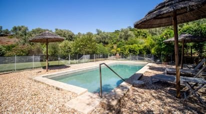 Maison T3 à Sesimbra (Castelo) de 11 081 m²