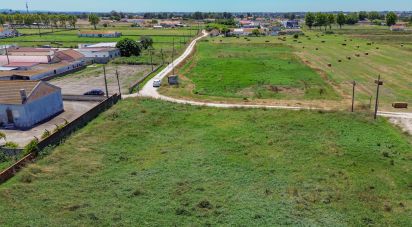 Land in Montijo e Afonsoeiro of 11,527 m²