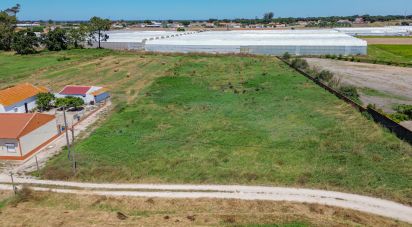 Land in Montijo e Afonsoeiro of 11,527 m²