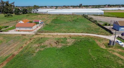 Land in Montijo e Afonsoeiro of 11,527 m²