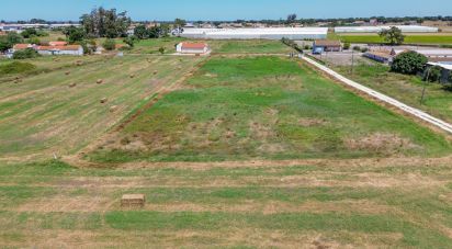 Land in Montijo e Afonsoeiro of 11,527 m²