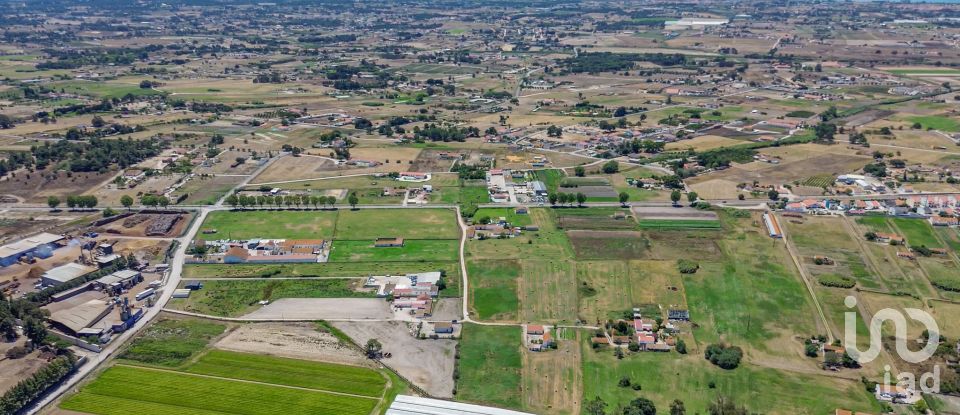 Land in Montijo e Afonsoeiro of 11,527 m²