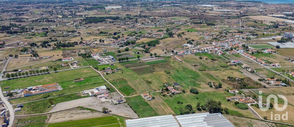 Land in Montijo e Afonsoeiro of 11,527 m²