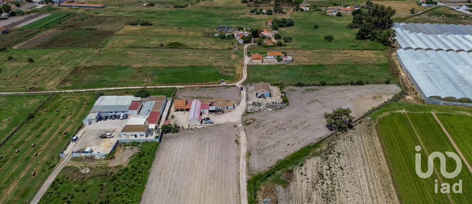 Terreno em Montijo e Afonsoeiro de 11 527 m²